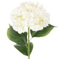 Floristik24 Artificial Hydrangea Long Stem 60cm Cream White