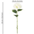 Artificial Hydrangea Long Stem 60cm Cream White | Floristik24.co.uk
