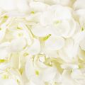 Artificial Hydrangea Long Stem