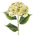 Floristik24 Artificial Hydrangea Flower with Long Stem and Green Leaves 60cm