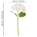 Artificial Hydrangea with Long Stem for Decoration, White, 48cm | Floristik24.co.uk