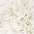 Artificial Hydrangea with Long Stem for Decoration, White, 48cm | Floristik24.co.uk