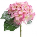 Floristik24 Hydrangea pink with snow effect 25cm