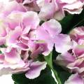 Floristik24 Silk flowers hydrangea in a pot lilac 35cm