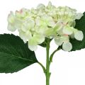 Floristik24 Hydrangea, silk flower, artificial flower for table decorations white, green L44cm
