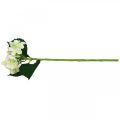 Floristik24 Hydrangea, silk flower, artificial flower for table decorations white, green L44cm
