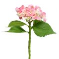 Floristik24 Hydrangea pink 33cm