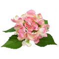 Floristik24 Hydrangea pink 33cm
