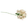 Floristik24 Hydrangea artificial cream garden flower with buds 52cm