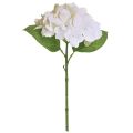 Floristik24 Hydrangea Artificial White Real Touch Flowers 33cm