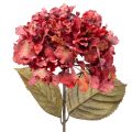 Floristik24 Artificial Red Hydrangea Stem with Large Bloom – 74cm