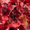 Artificial Red Hydrangea Stem with Large Bloom – 74cm | Floristik24.co.uk