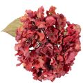 Artificial Red Hydrangea Stem