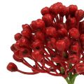 Floristik24 Hydrangea bud pick 22cm red 12pcs