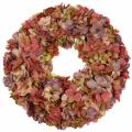 Floristik24 Hydrangea wreath old rose Ø44cm