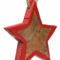 Floristik24 Christmas decoration wooden star nature / red 8cm 15pcs