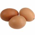 Floristik24 Chicken Eggs Brown 10pcs