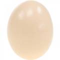 Floristik24 Chicken Egg Cream Easter Decoration Blown Eggs 10pcs