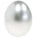 Floristik24 Chicken Eggs Silver Easter Decoration Blown Eggs 10pcs