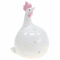 Floristik24 Easter decoration chicken white with dots H11.5cm 4pcs