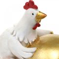 Floristik24 Decorative chickens with Easter egg, Easter chickens, golden egg, Easter decoration H12/11cm set of 2