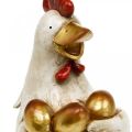 Floristik24 Easter chicken, decorative hen, chicken with golden eggs, Easter figure H24cm