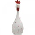 Floristik24 Decorative chicken wood white with dots Easter figure Ø7cm H20cm