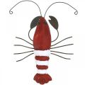 Floristik24 Lobster maritime decorative figure made of wood and metal red 15x12cm