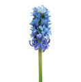 Floristik24 Hyacinth artificial blue, white 31cm 3pcs