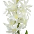 Floristik24 Artificial hyacinth with bulb artificial flower white to stick 29cm