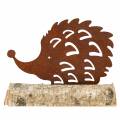 Floristik24 Hedgehog patina on the wooden base 26cm x 18cm
