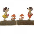Floristik24 Hedgehog with mushrooms Autumn figure wooden hedgehog Yellow/Orange H11cm Set of 6