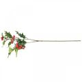 Floristik24 Artificial holly branch, winter berries, Christmas decorations, holly snow-covered green, red L63cm