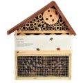 Floristik24 Insect hotel brown insect house wood 25cmx8.5cmx32cm