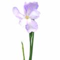Floristik24 Artficial Iris Purple 78cm