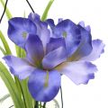 Floristik24 Iris lilac in glass for hanging H21,5cm