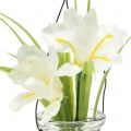 Floristik24 Iris White in glass for hanging H21,5cm