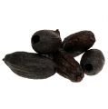 Floristik24 Cocoa pods natural 10-18cm 15pcs