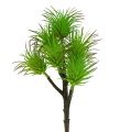 Floristik24 Cactus branches 20cm light green 3pcs