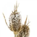 Floristik24 Thistle branch artificially iced brown card thistle with 3 heads 90cm