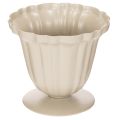 Floristik24 **Small Cream Decorative Trophy Bowl 10cm**

```html
<h2>Versatile Decorative Bowl for Home Use</h2>
<p>This charming small decorative bowl in the shape of a cream-coloured trophy brings style and function to your home. Crafted from sturdy metal with a so