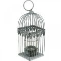 Floristik24 Candle decoration, bird cage with tealight glass, metal lantern, wedding decoration, lantern 22cm