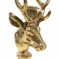 Floristik24 Candlestick antique look deer head golden metal 19.5cm