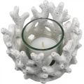 Floristik24 Lantern with glass in coral design maritime decoration white artificial Ø9.5cm 2pcs