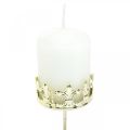 Floristik24 Tealight holder crown, candle decoration Christmas, candle holder for Advent wreath golden Ø5.5cm 4pcs