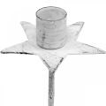 Floristik24 Tree candle holder, Christmas, star for sticking, candle decoration made of metal white shabby chic Ø5cm