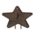 Floristik24 Candle holder star to stick 9cm brown