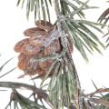 Artificial Pine Branch with Decorative Cones and Frosted Effect – 80cm, Pack of 3 | Floristik24.co.uk