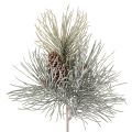 Floristik24 Artificial Pine Branch with Cones and Snow Effect, 40cm
