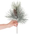 Artificial Pine Branch with Cones and Snow Effect, 40cm | Floristik24.co.uk